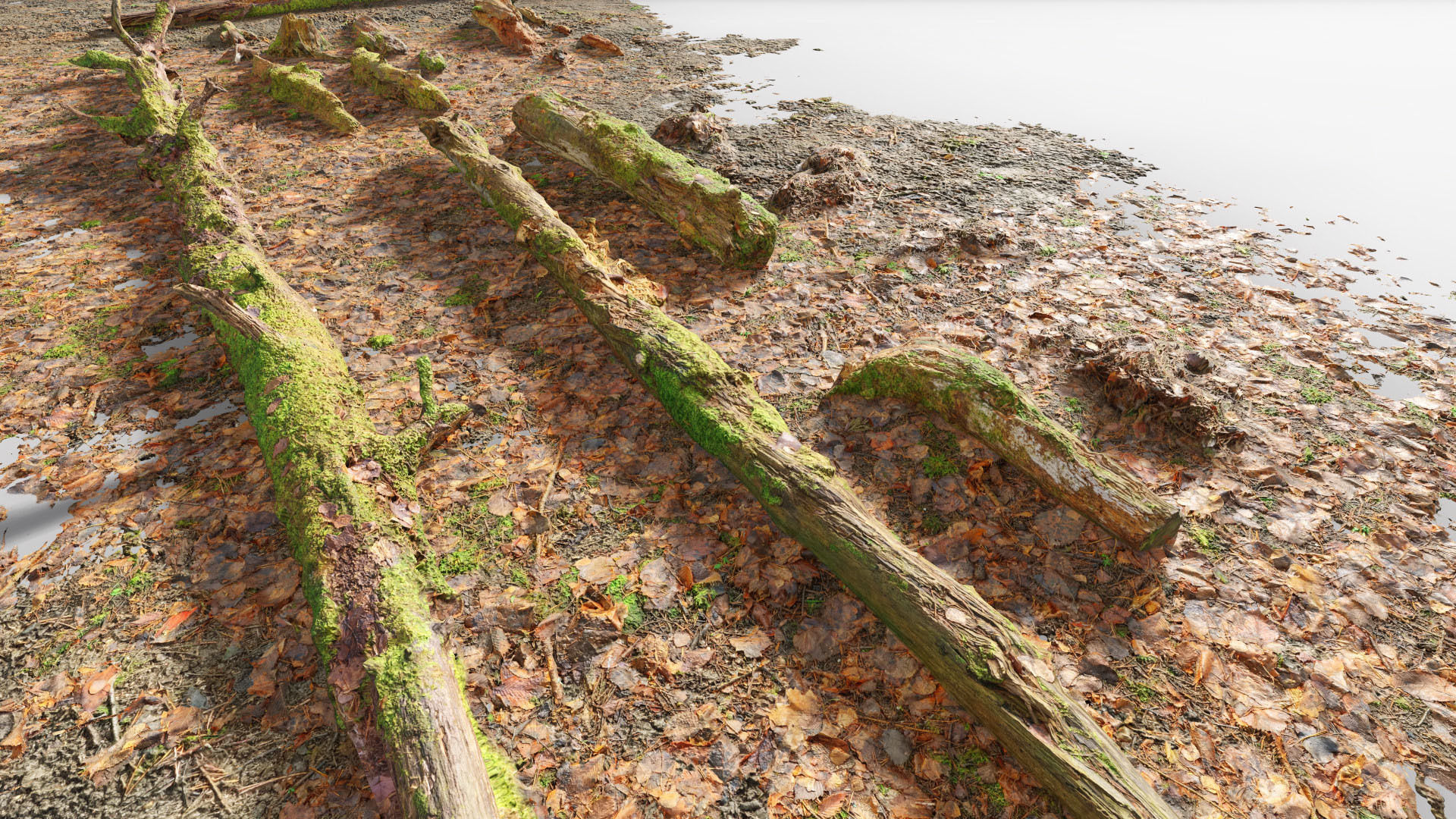 Forest Branches Debris Leaves Scan Low-poly 3D model_5