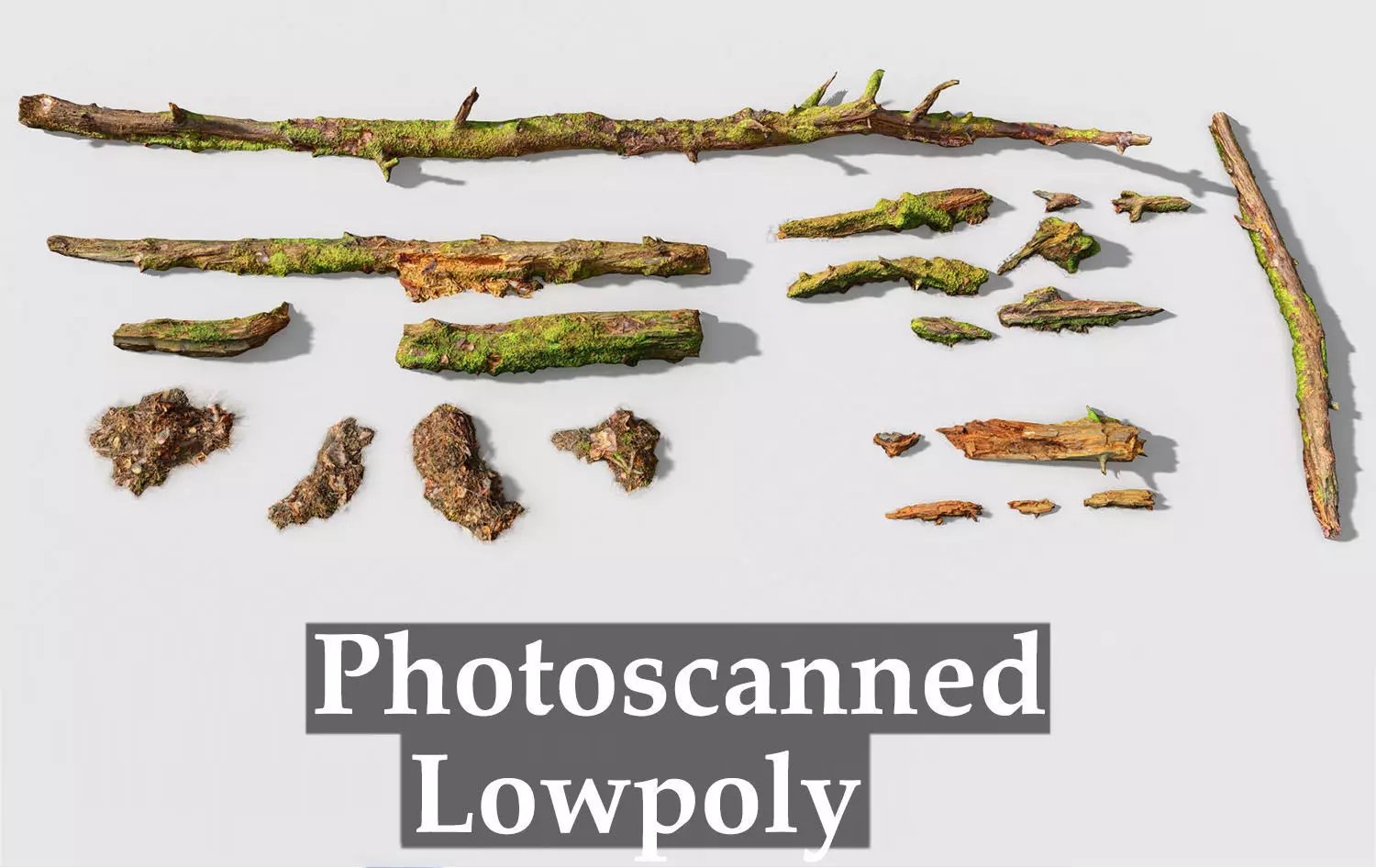 Forest Branches Debris Leaves Scan Low-poly 3D model_0