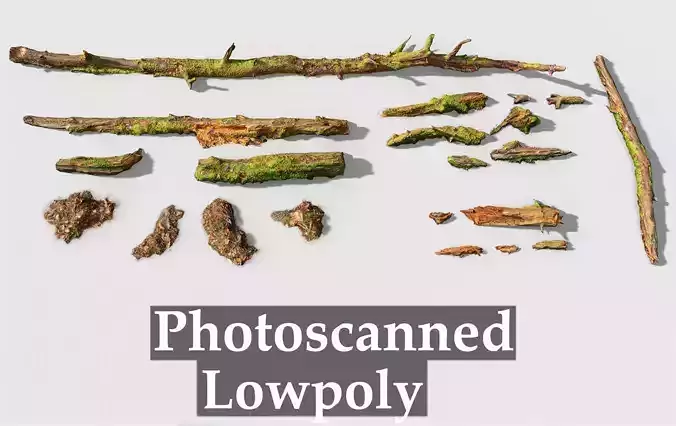 Forest Branches Debris Leaves Scan Low-poly 3D model