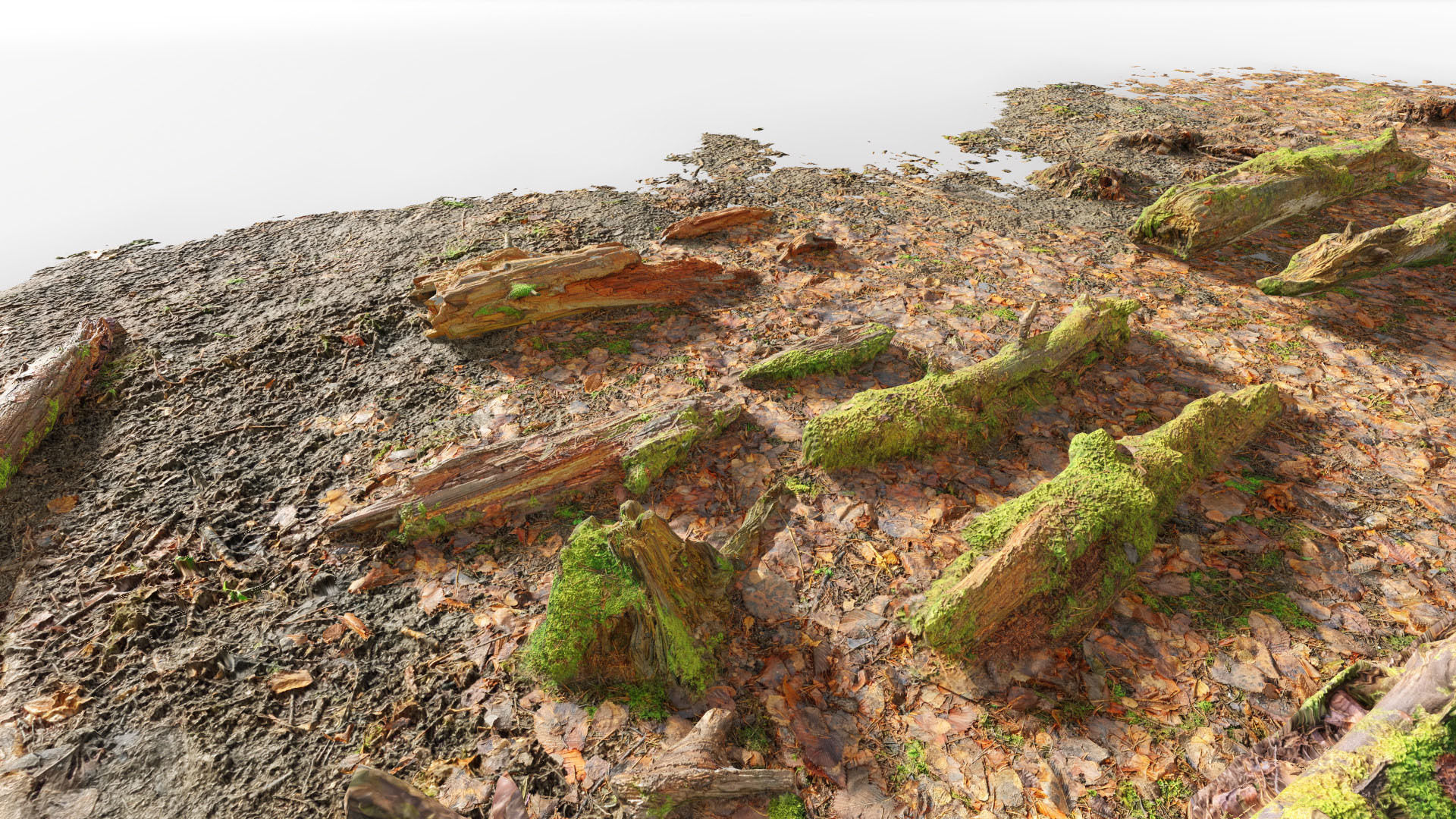 Forest Branches Debris Leaves Scan Low-poly 3D model_12