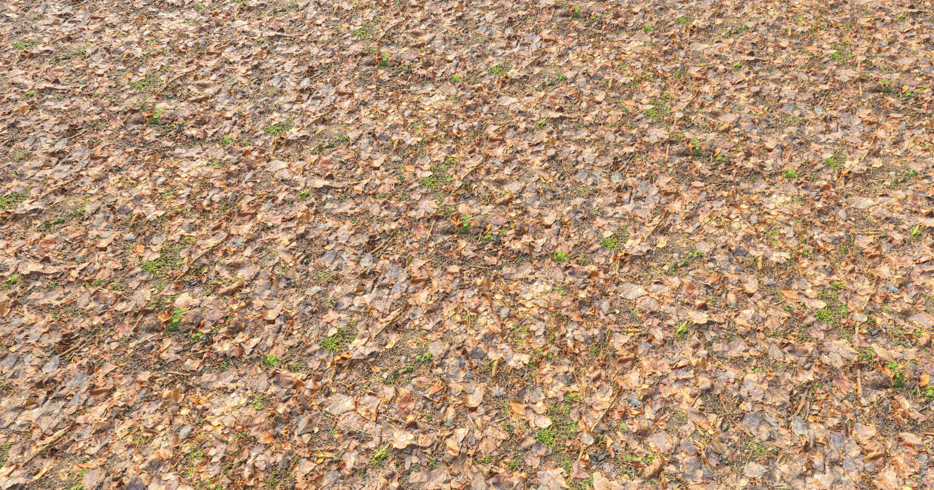 Forest Branches Debris Leaves Scan Low-poly 3D model_16