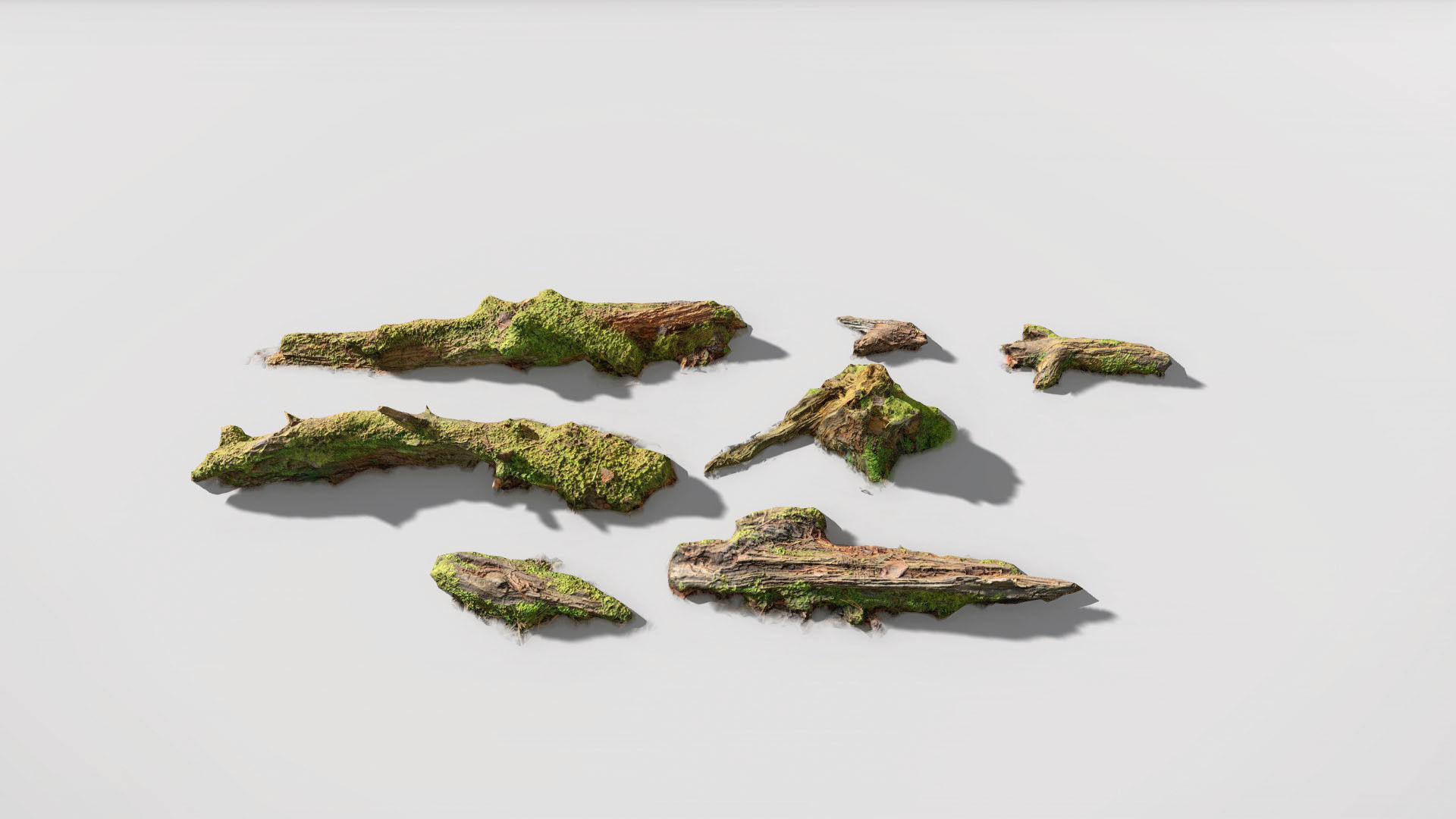 Forest Branches Debris Leaves Scan Low-poly 3D model_2