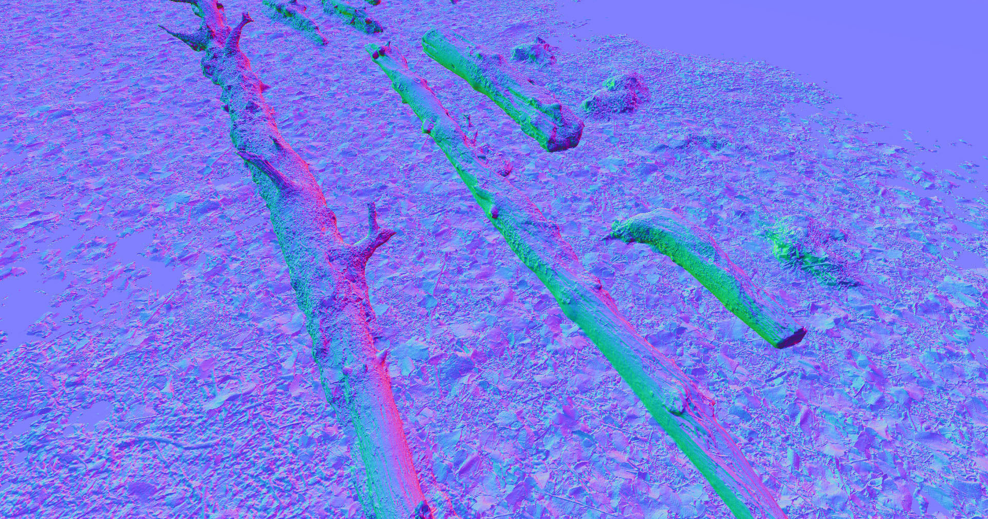 Forest Branches Debris Leaves Scan Low-poly 3D model_14