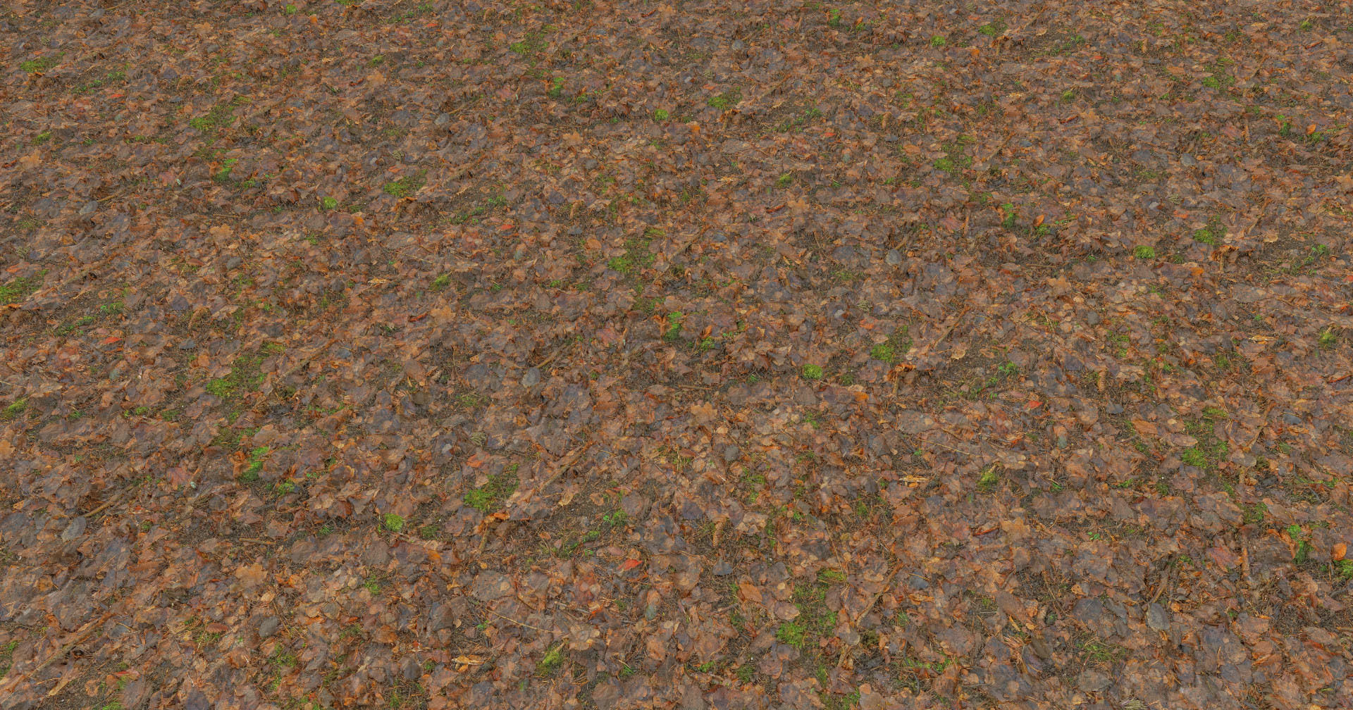 Forest Branches Debris Leaves Scan Low-poly 3D model_18