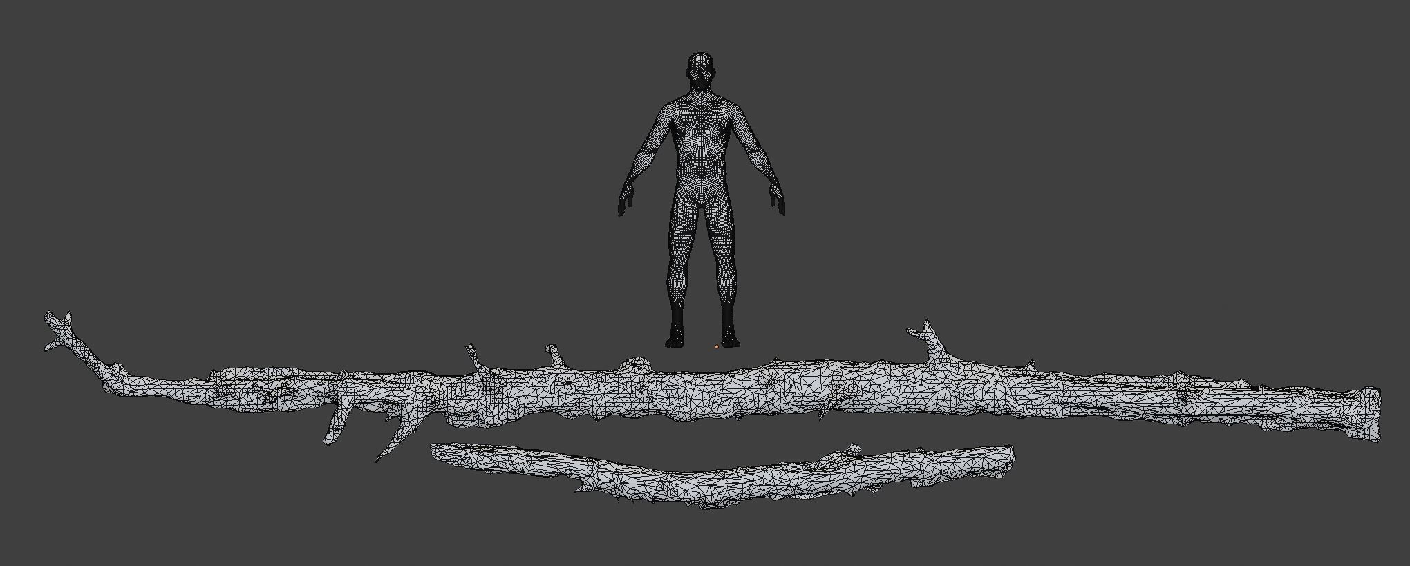 Forest Branches Debris Leaves Scan Low-poly 3D model_6