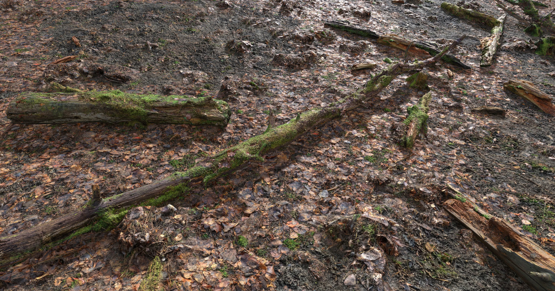 Forest Branches Debris Leaves Scan Low-poly 3D model_13