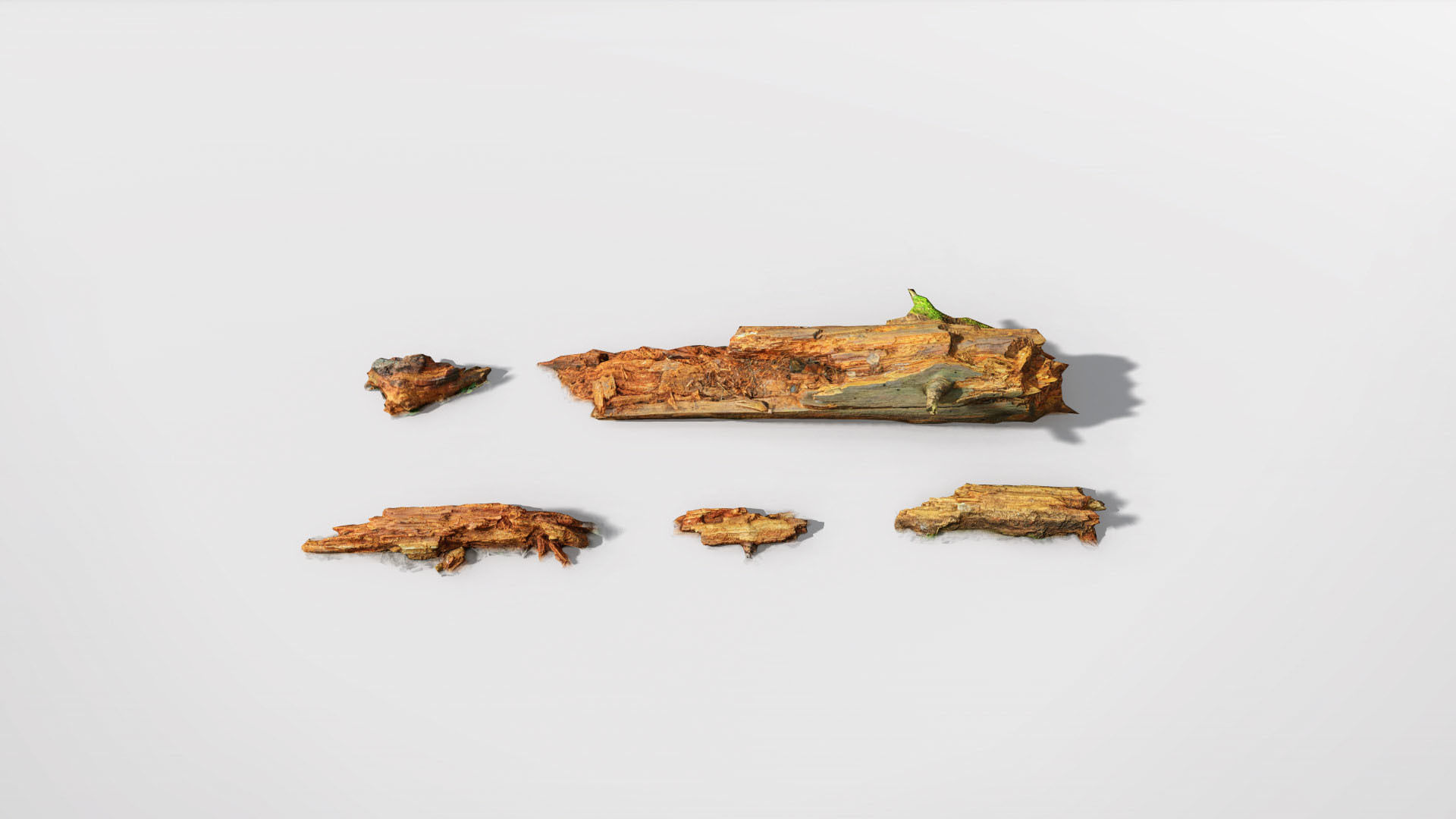 Forest Branches Debris Leaves Scan Low-poly 3D model_4