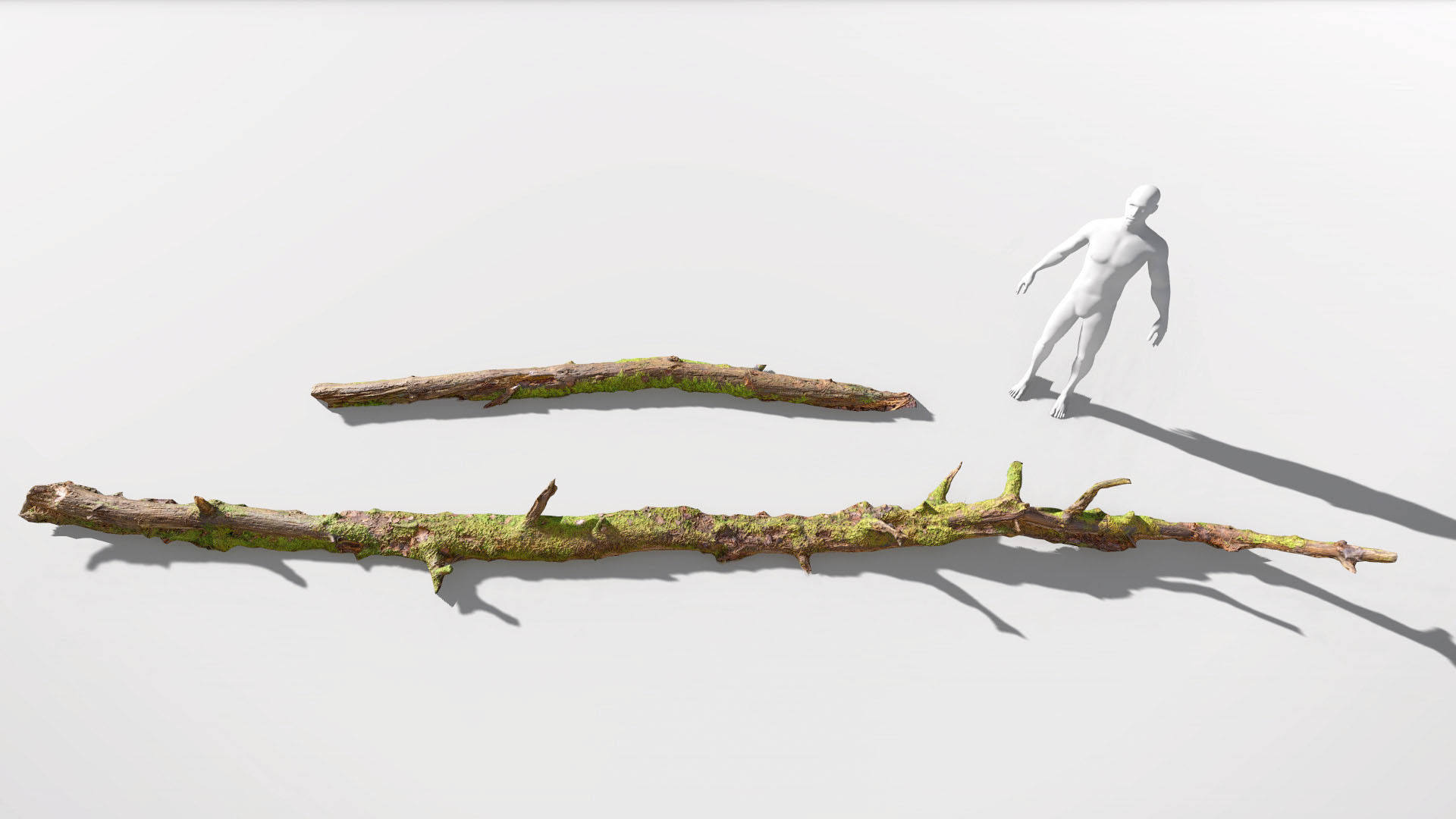 Forest Branches Debris Leaves Scan Low-poly 3D model_1