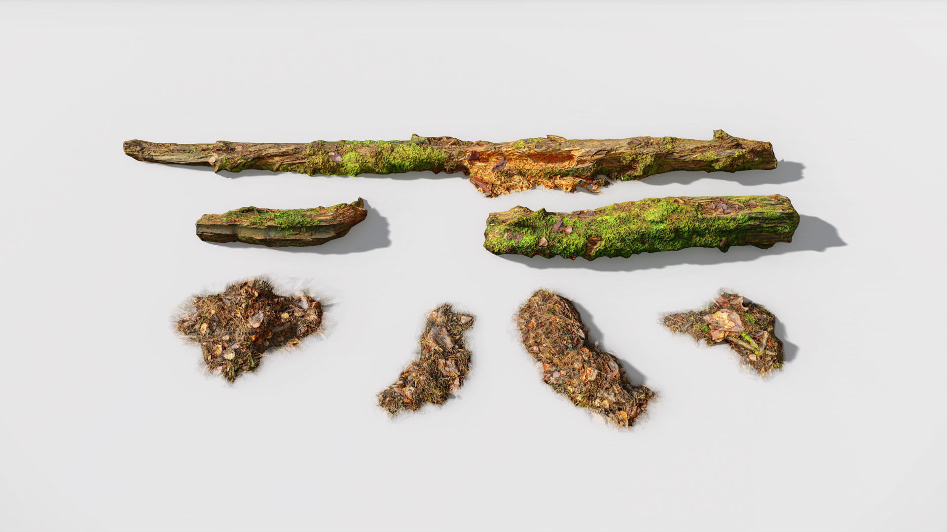 Forest Branches Debris Leaves Scan Low-poly 3D model_3