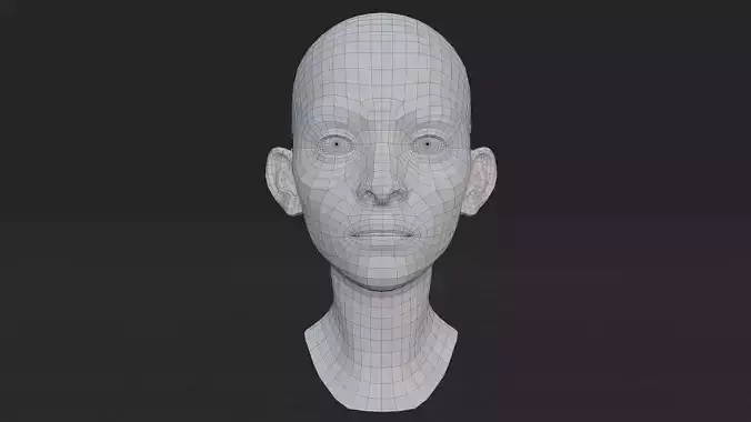 Female Head Base Mesh
