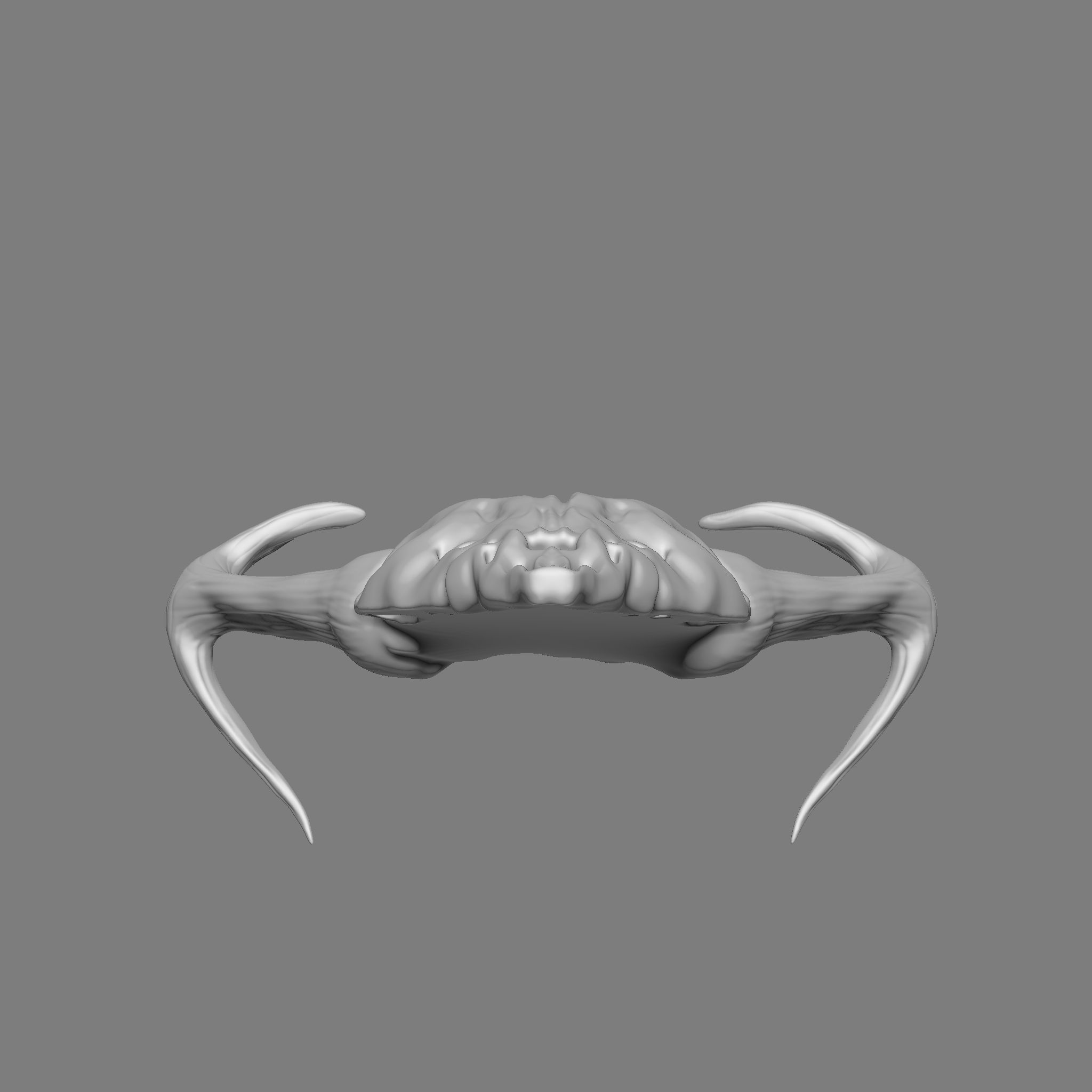 Ram Skull 3D Print Model 3D print model_11