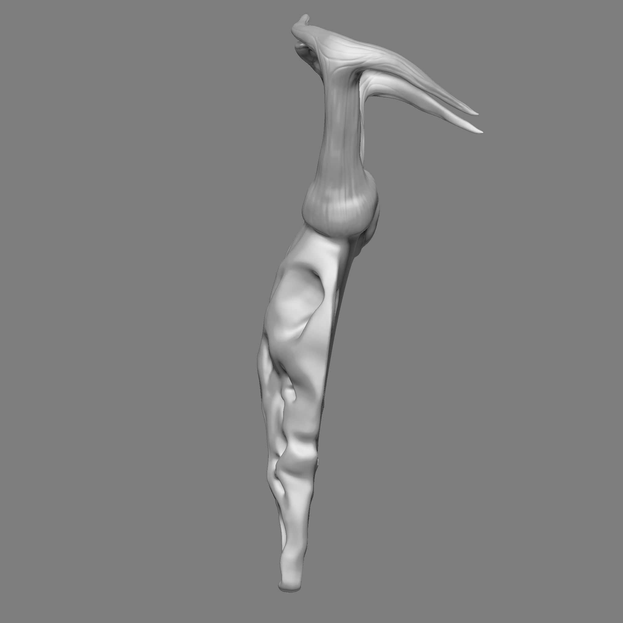 Ram Skull 3D Print Model 3D print model_6