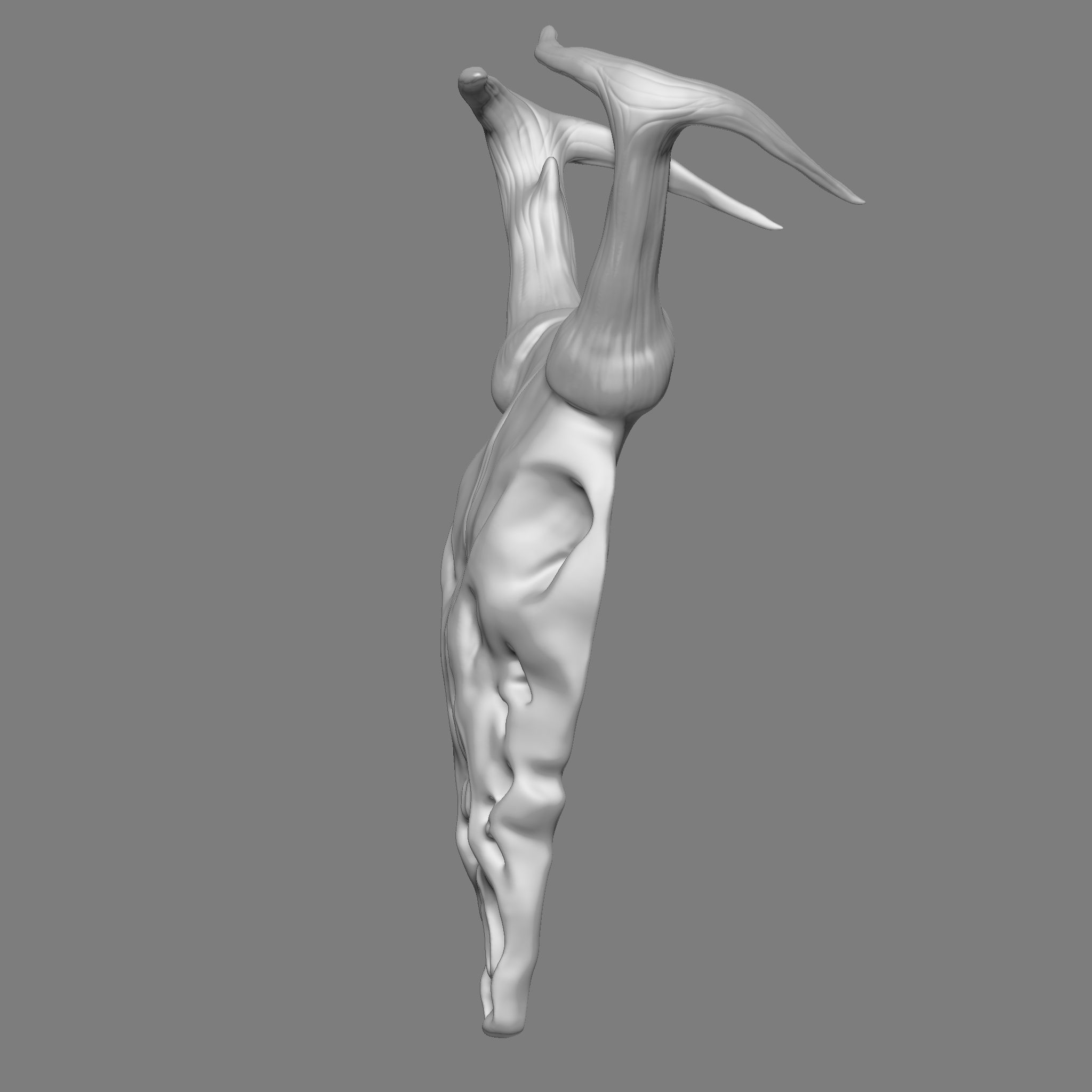 Ram Skull 3D Print Model 3D print model_5