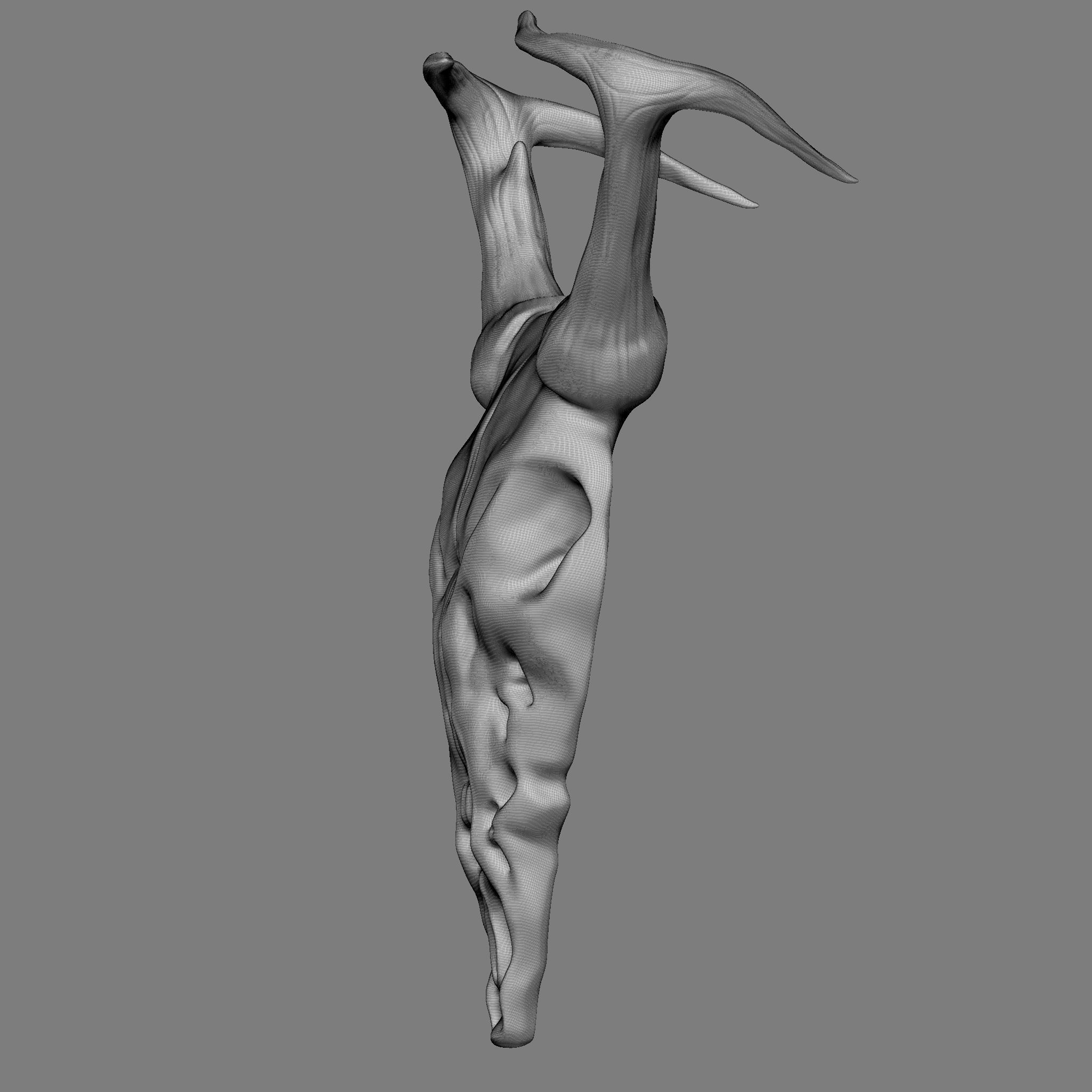 Ram Skull 3D Print Model 3D print model_25