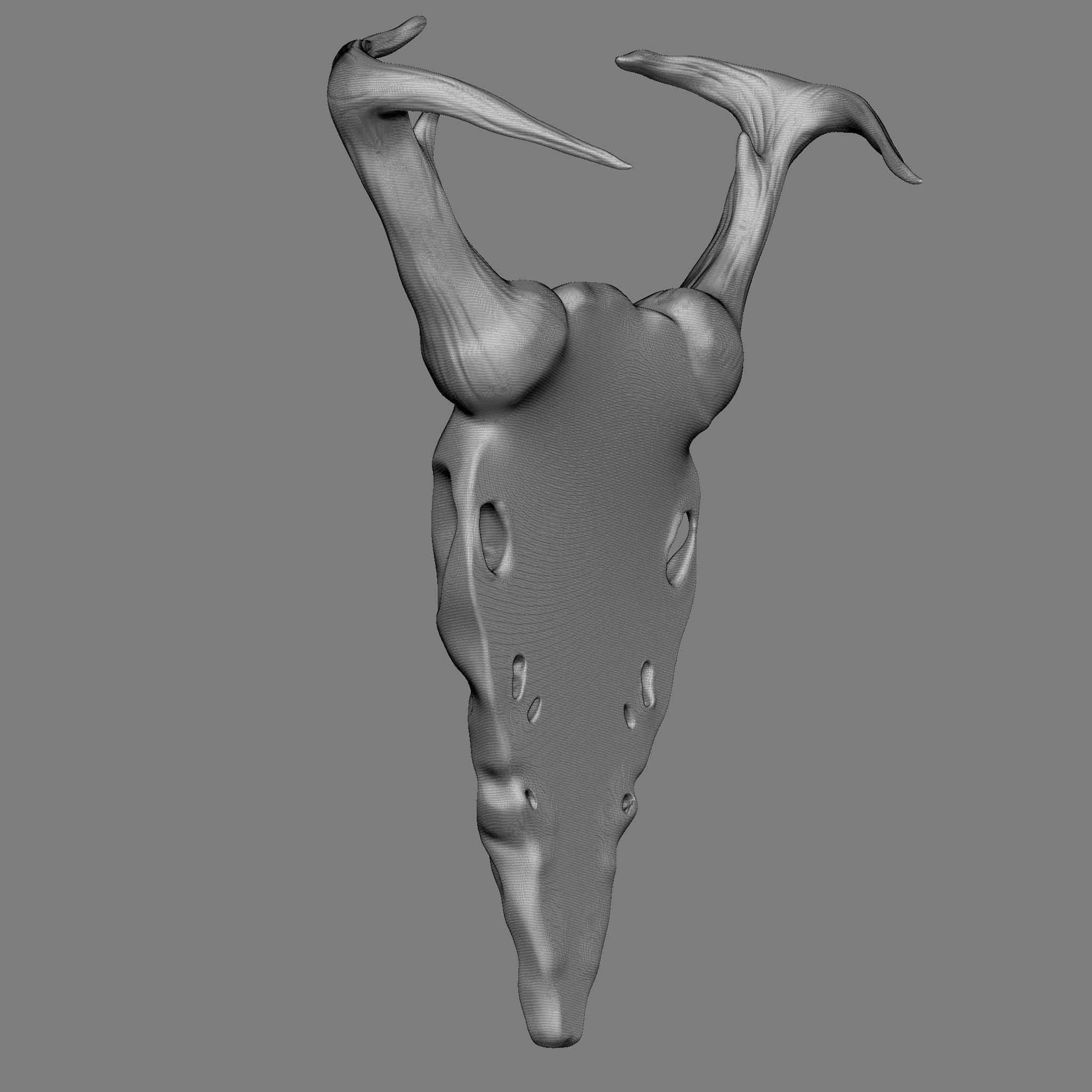 Ram Skull 3D Print Model 3D print model_27