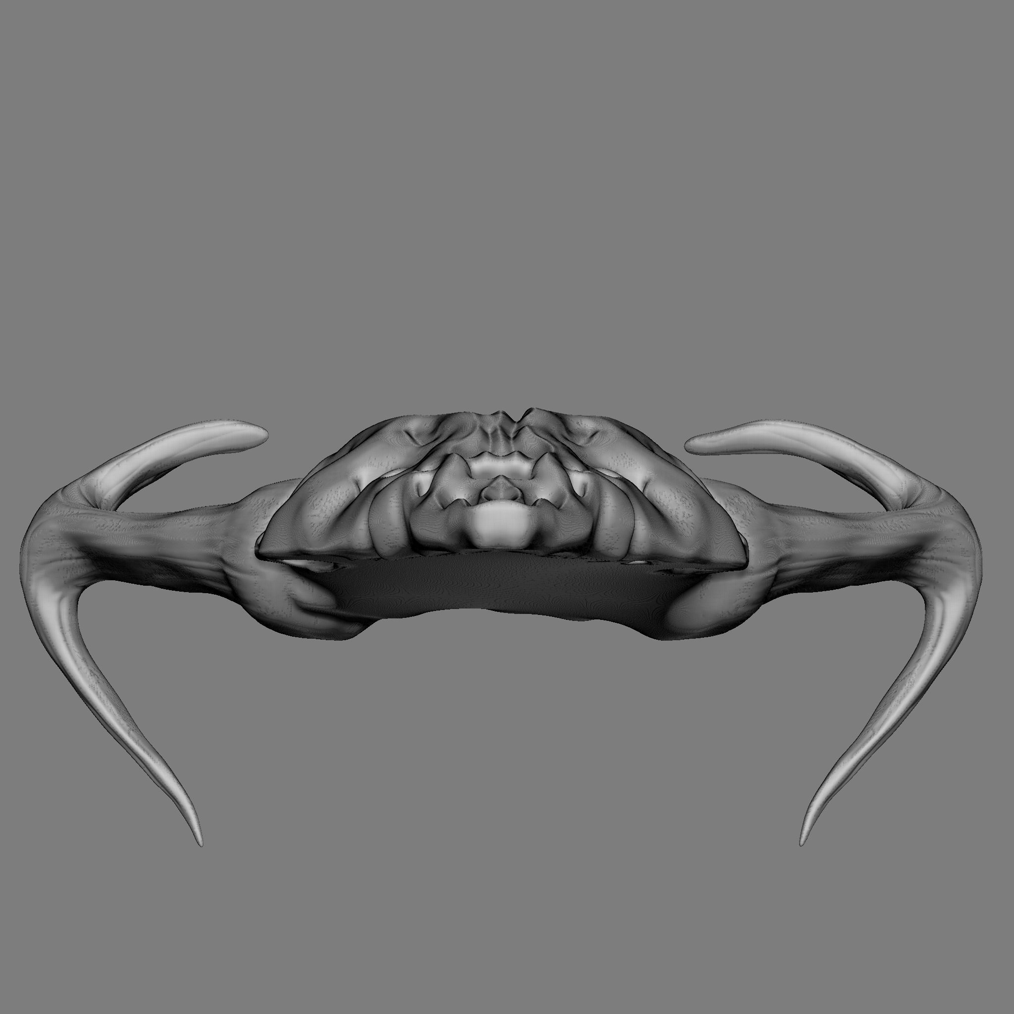 Ram Skull 3D Print Model 3D print model_13