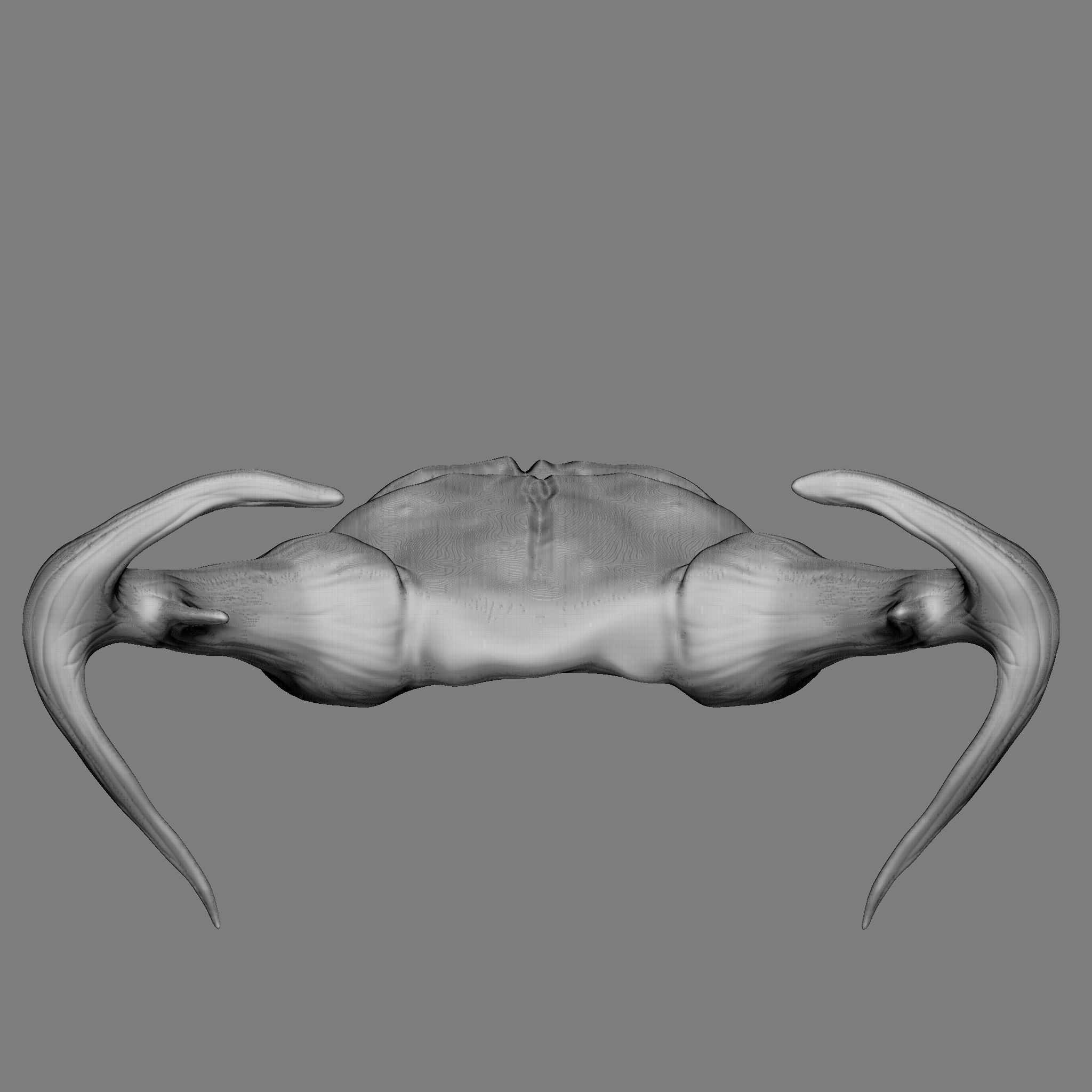 Ram Skull 3D Print Model 3D print model_22