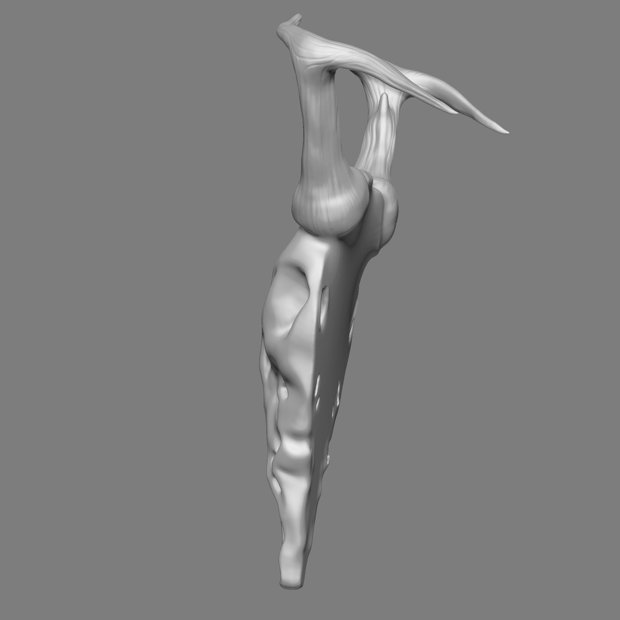 Ram Skull 3D Print Model 3D print model_7