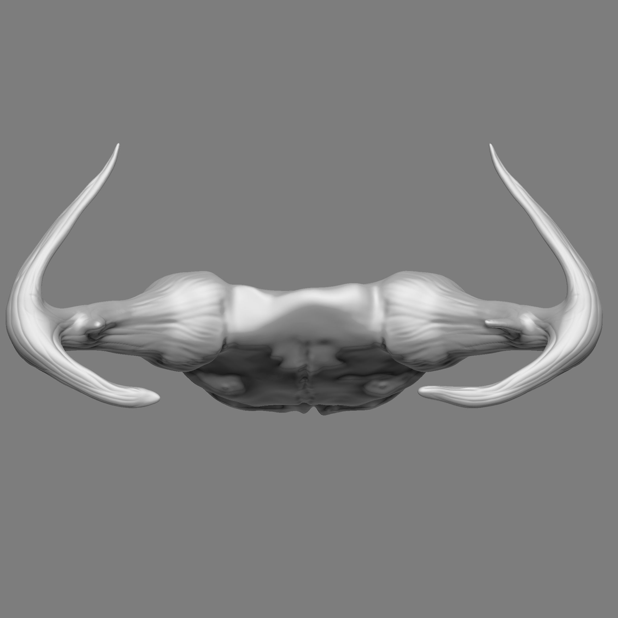 Ram Skull 3D Print Model 3D print model_20