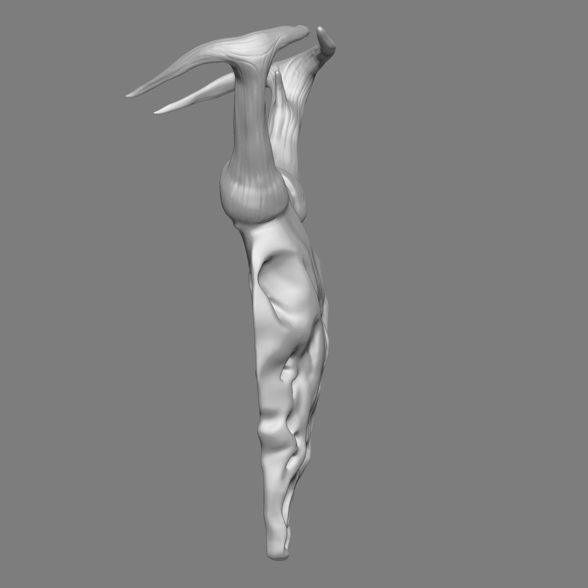 Ram Skull 3D Print Model 3D print model_14