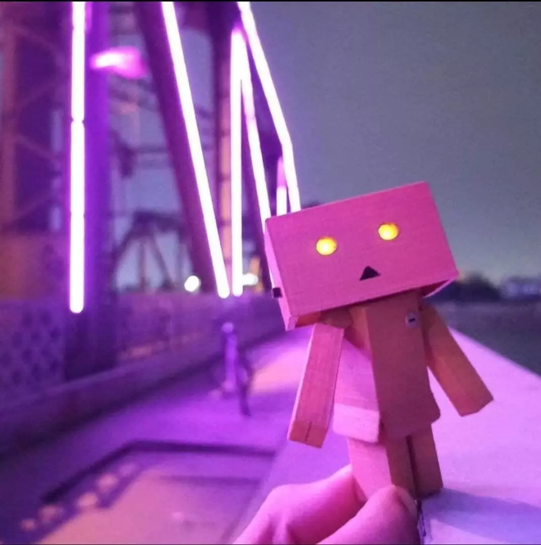 DANBOARD JOINTED PRINTABLE 3D print model