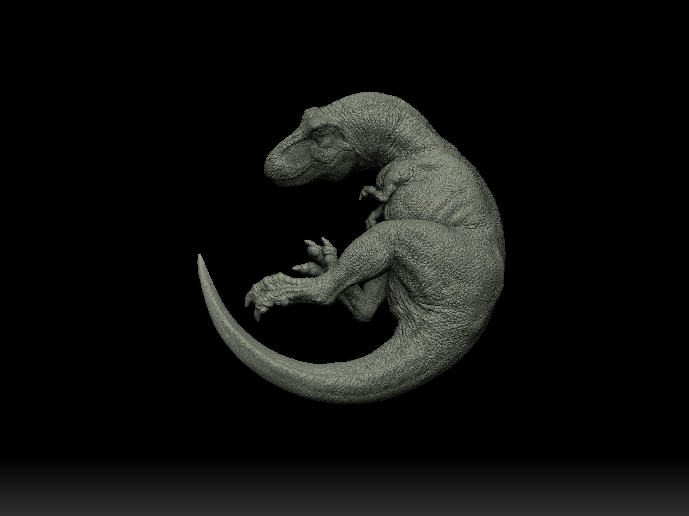 Sleeping Trex 3D print model_2