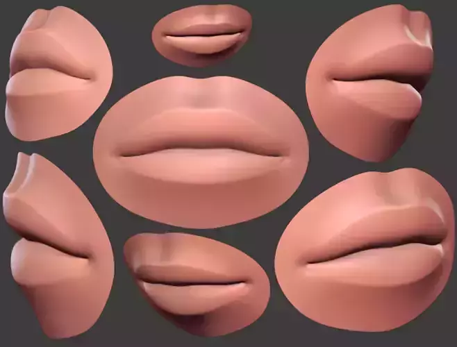 Human Lip Female Subdivision Ready for Film Low-poly 3D model
