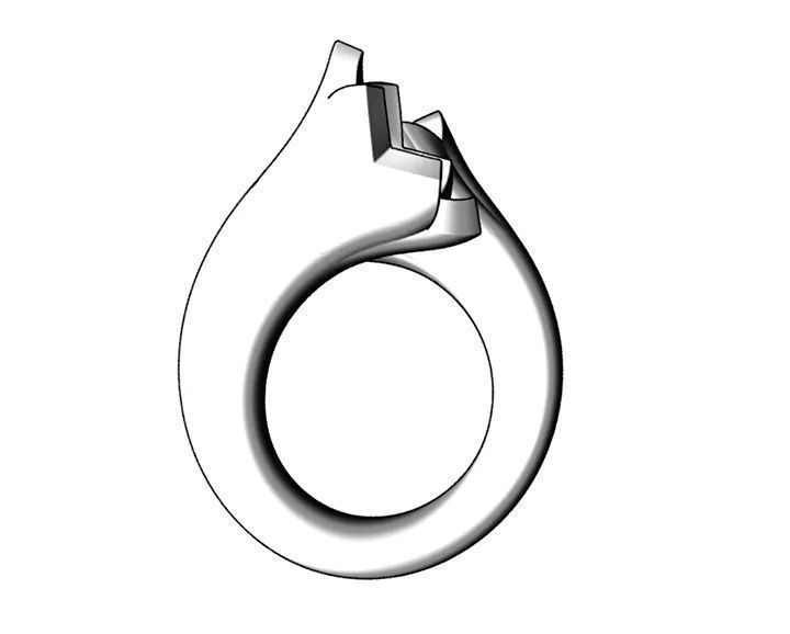 bypasS ring 3D print model_9