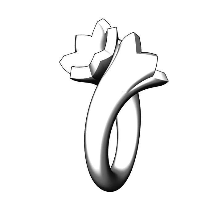 bypasS ring 3D print model_11