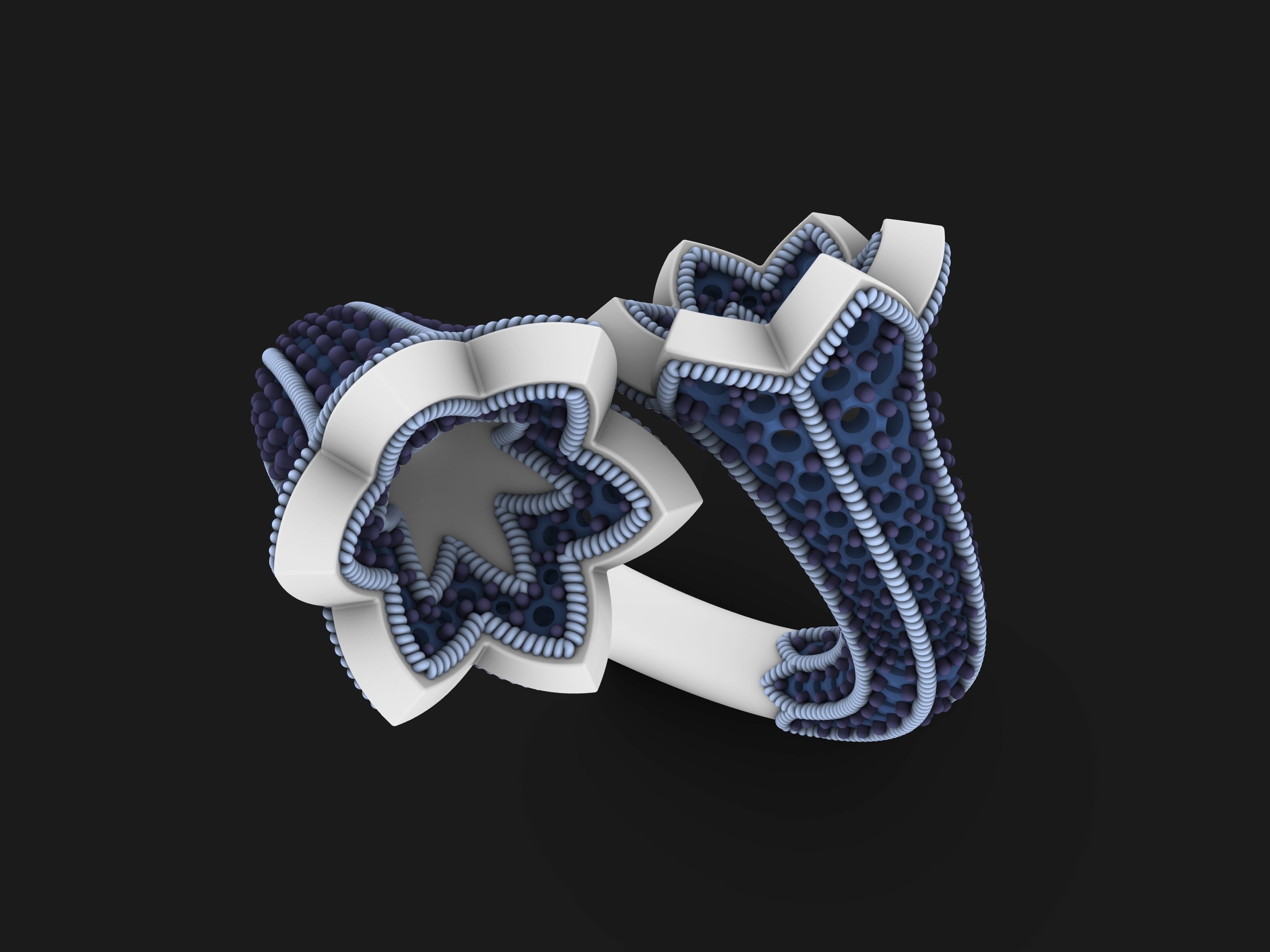 bypasS ring 3D print model_2