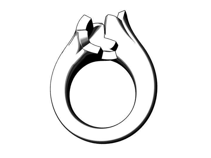 bypasS ring 3D print model_10