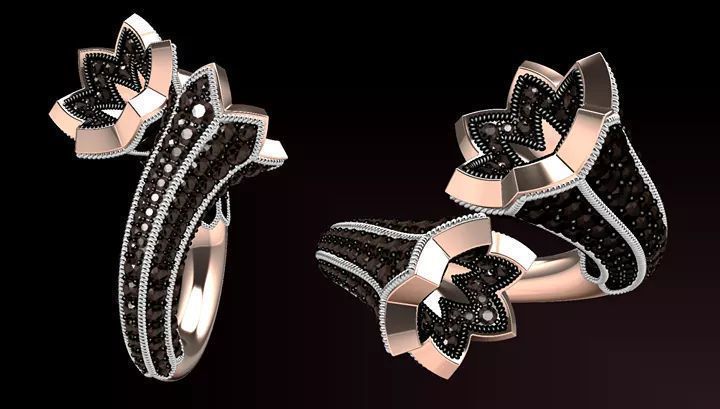 bypasS ring 3D print model_8