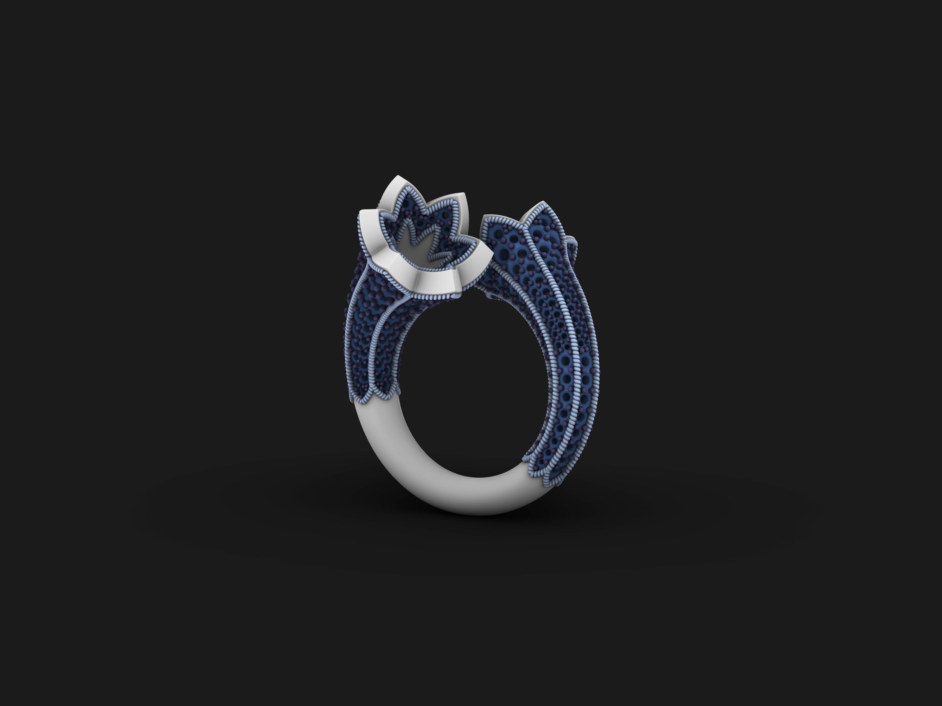 bypasS ring 3D print model_1