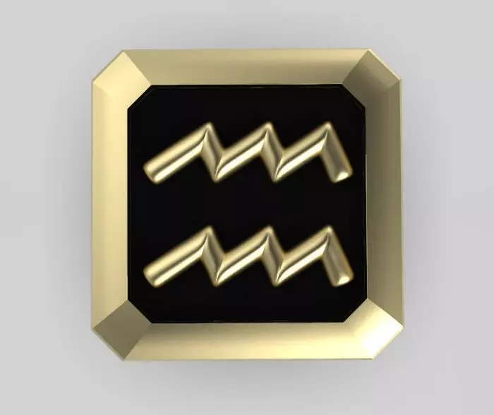 Aquarius Cufflink 3D print model_0