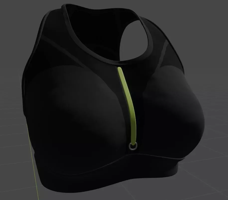 Sport Bra 3D model