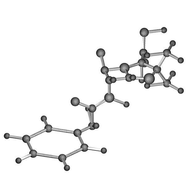 Organic Chemistry - Penicillin 3D print model_2