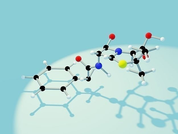 Organic Chemistry - Penicillin 3D print model