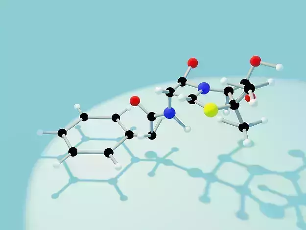 Organic Chemistry - Penicillin 3D print model
