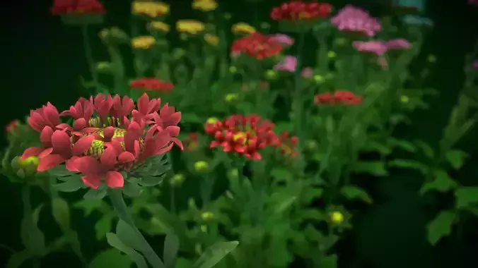 Flower Fanfare Blanket