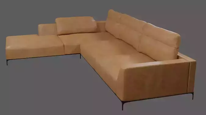 Leather Couch
