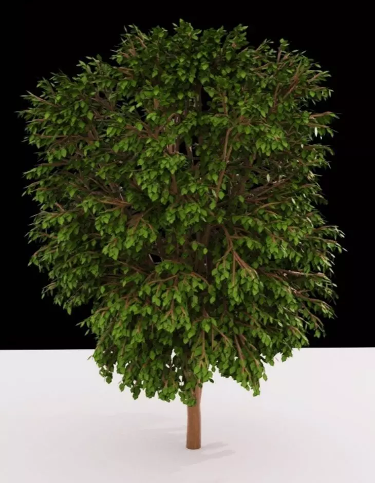 Tree 3d model Free low-poly 3D model