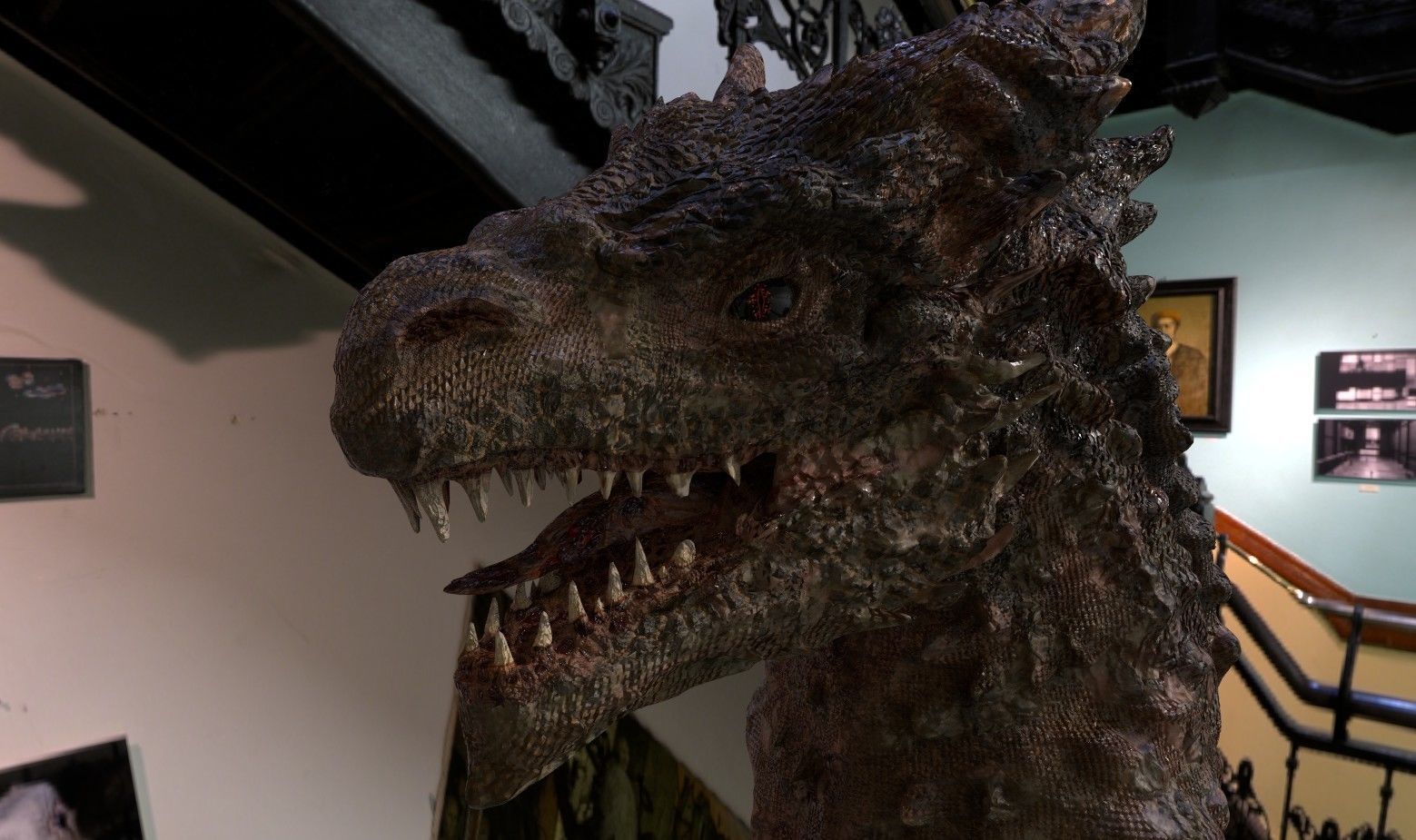 Dragon Young Blood Low-poly 3D model_2