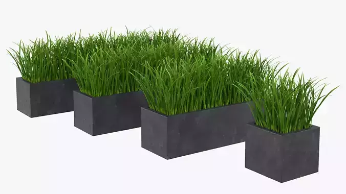 Grass in Pot 3D model