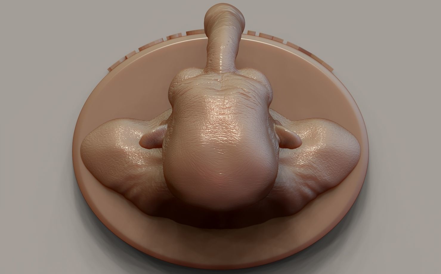 Mr Dick is comming  3D print model_10