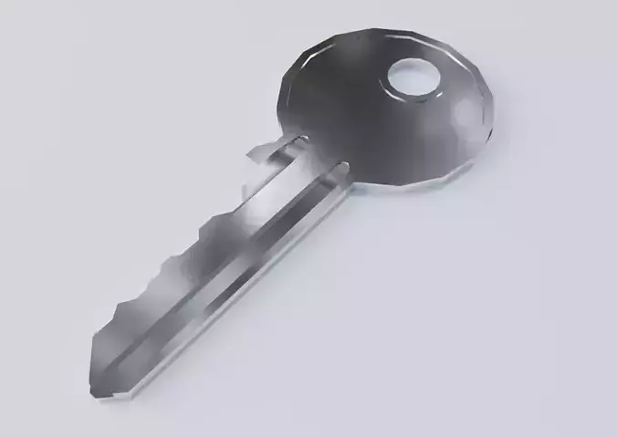 Door key