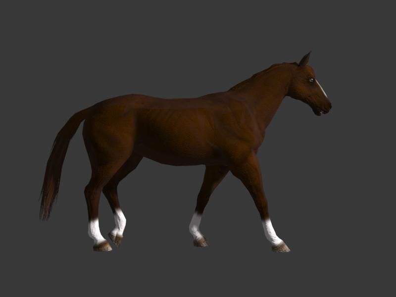 horse walk 3D model_4