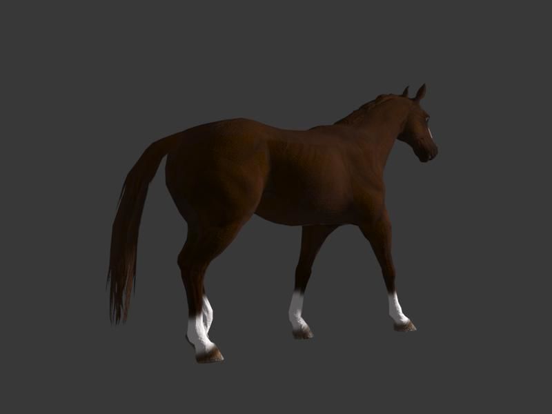 horse walk 3D model_5