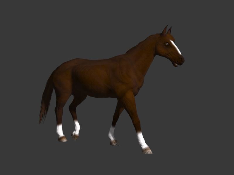 horse walk 3D model_3