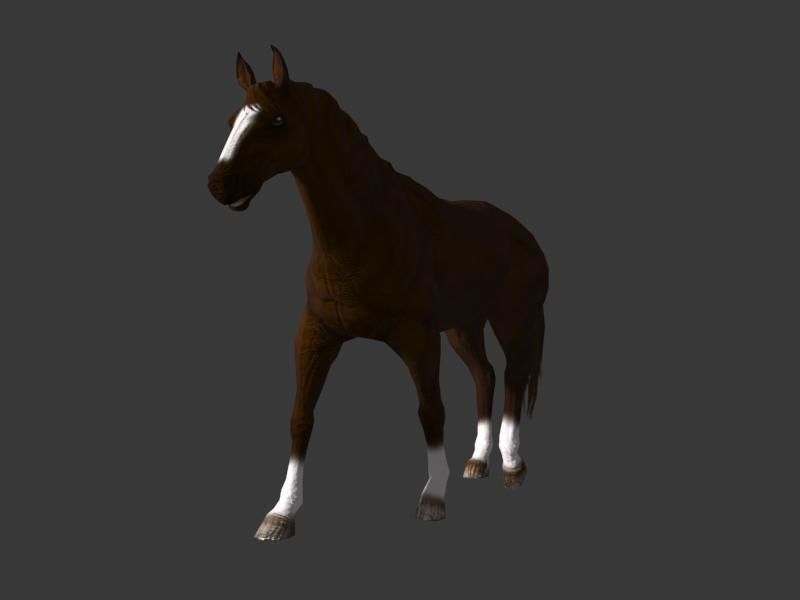 horse walk 3D model_6