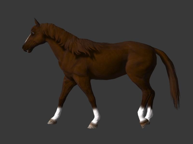 horse walk 3D model_7